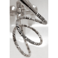 Decorated Shower Hose Design ZEBRA